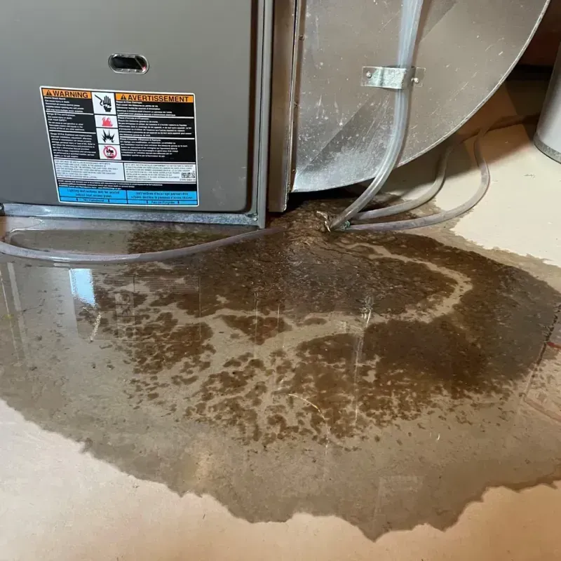 Appliance Leak Cleanup in Buckner, MO